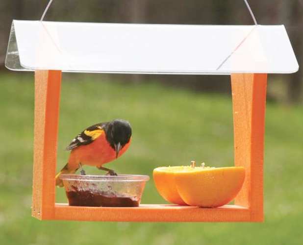 Green Solutions Recycled Plastic Oriole Feeder